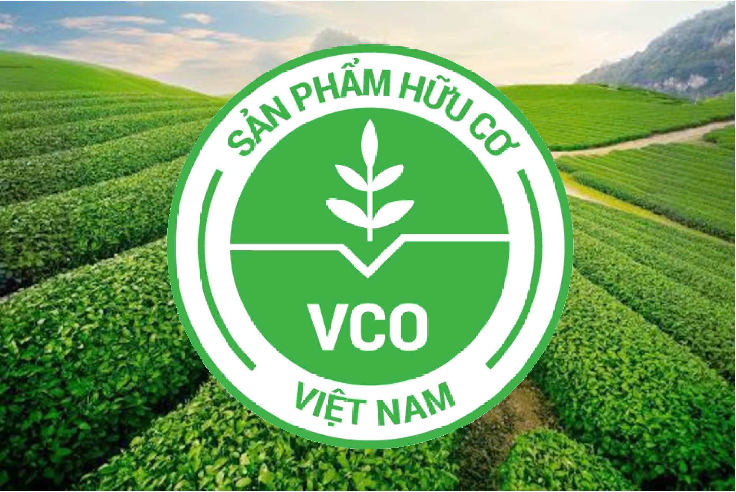 Công TY TNHH Thương Mại Xuất Nhập Khẩu Đoàn Gia