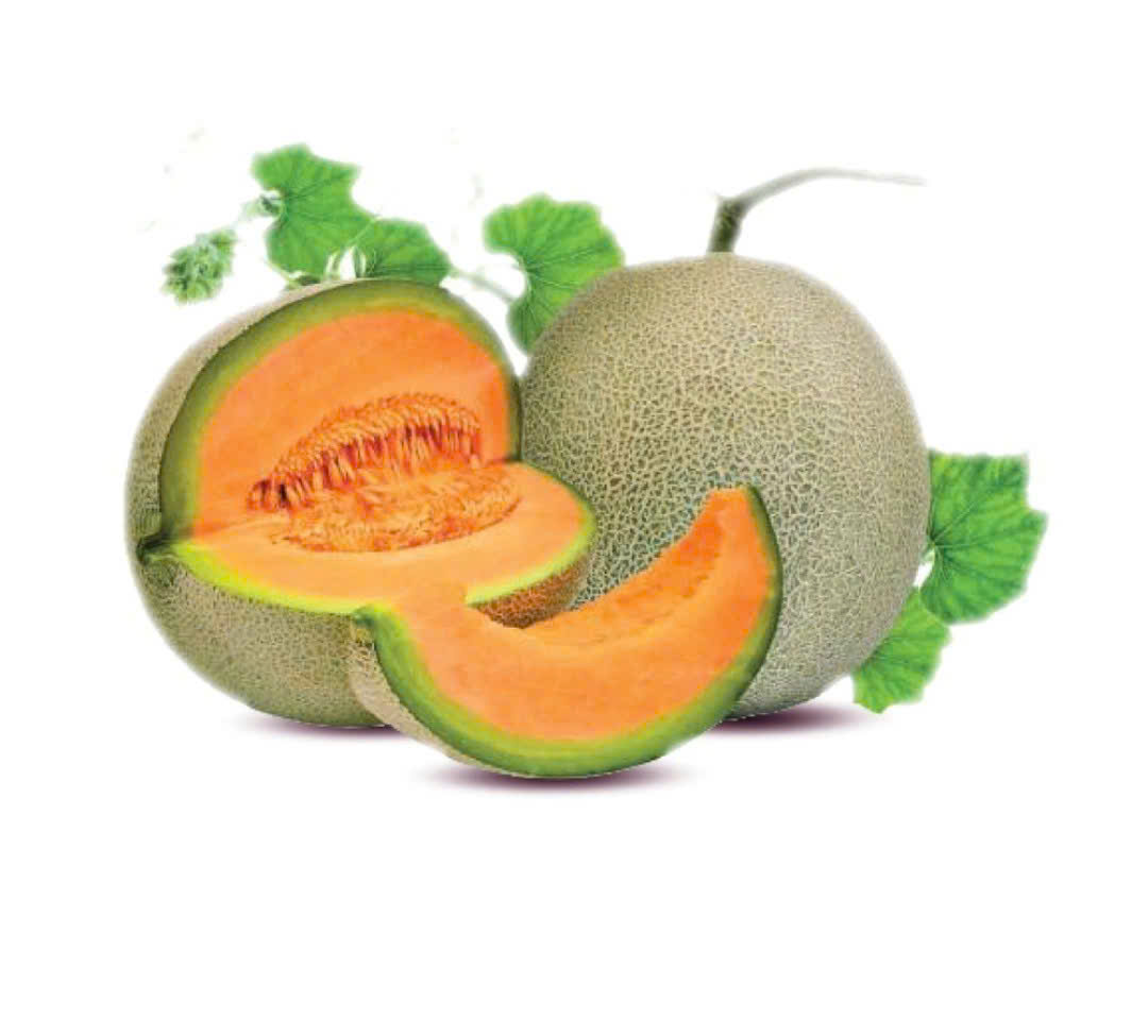 Dưa Hami